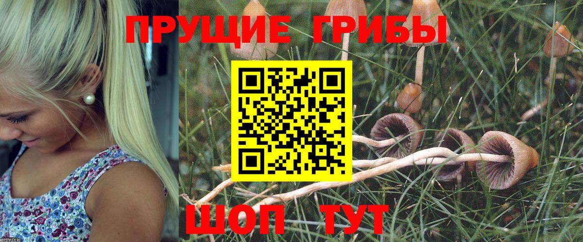 Псилоцибиновые грибы Magic Shrooms  продажа наркотиков  Галлюциногенные грибы MAGIC MUSHROOMS  Белореченск  Вход с VPN 